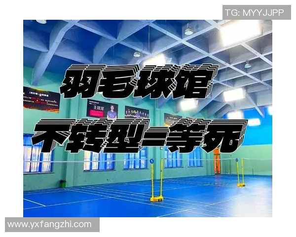 武汉羽毛球队转型之路揭秘：从传统强队到现代化竞技先锋的华丽蜕变