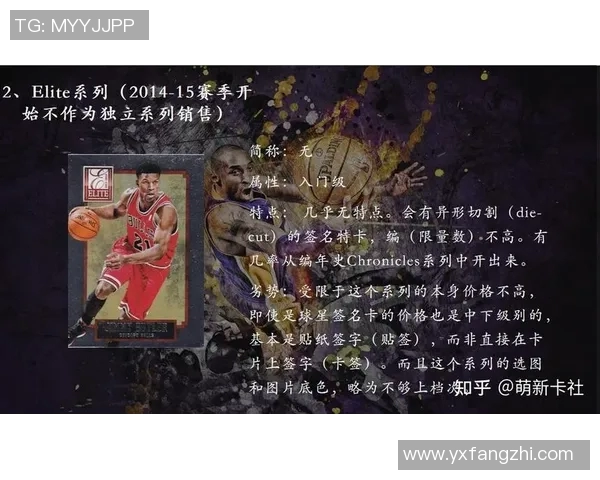 篮球新手必看：从零基础到赛场高手的全面入门指南