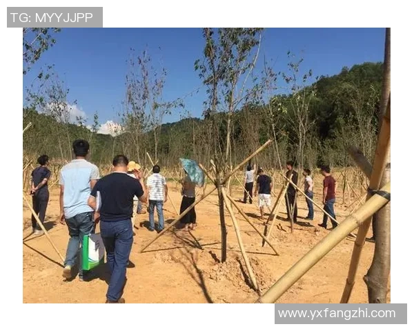 广州排球队挑战赛表现分析与状态评估探讨 广州排球队挑战赛表现分析与状态评估探讨