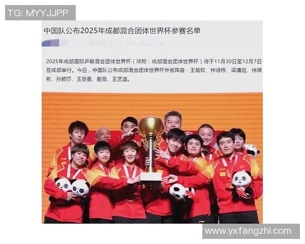 成都乒乓球队技术解析与发展探讨聚焦乒乓球运动的未来之路