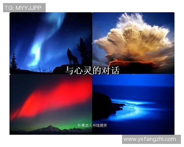 李秀英的排球人生:从赛场拼搏到心灵成长的对话分享 李秀英的排球人生:从赛场拼搏到心灵成长的对话分享